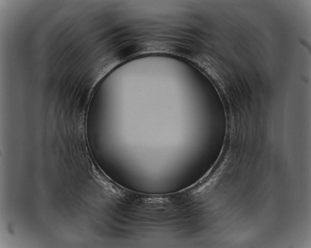 X0000097881137200803281218