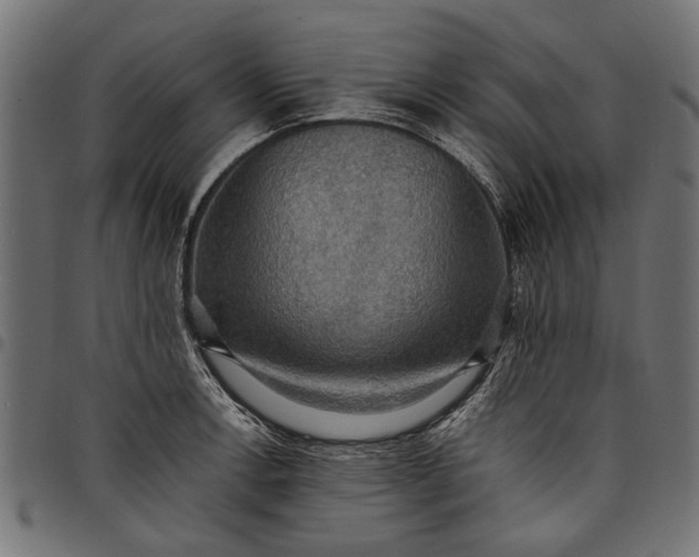 X0000097881138200803281218