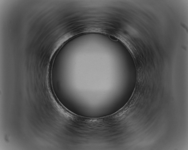 X0000097881139200803281218