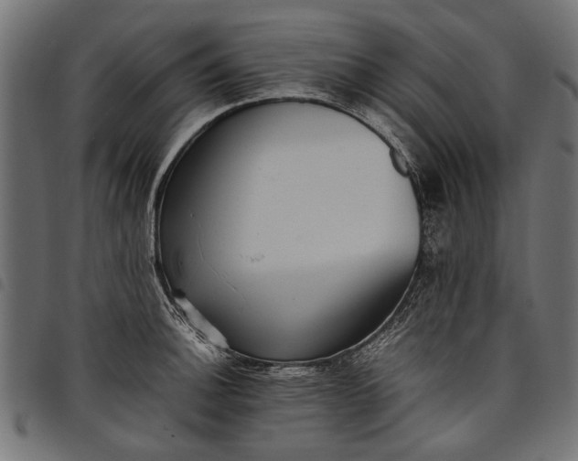 X0000097881140200803281218