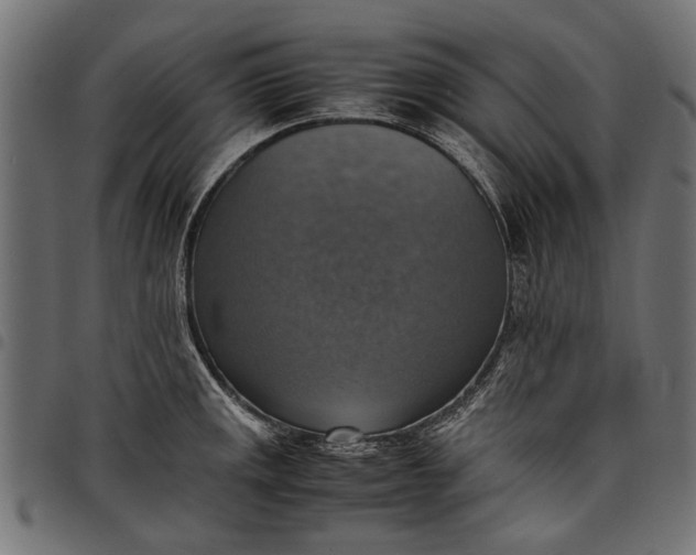 X0000097881141200803281218