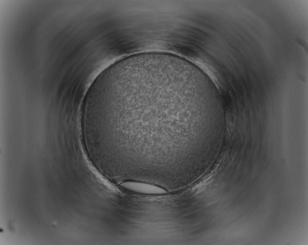 X0000097881142200803281218