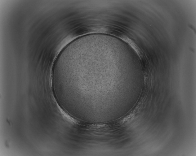 X0000097881143200803281218