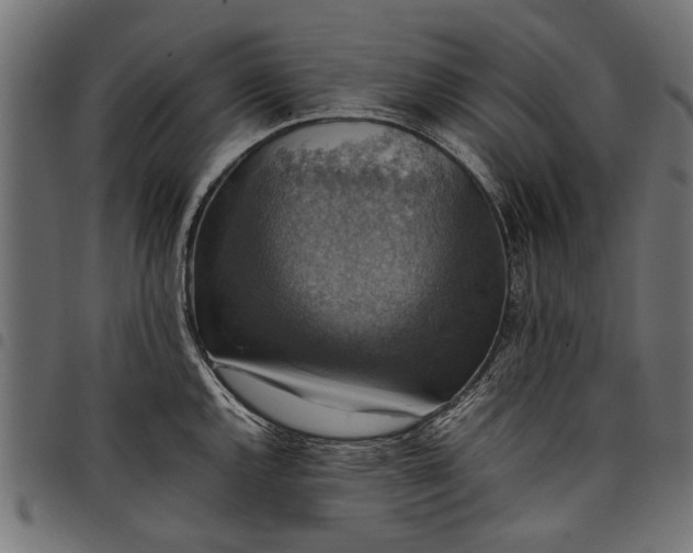 X0000097881144200803281218