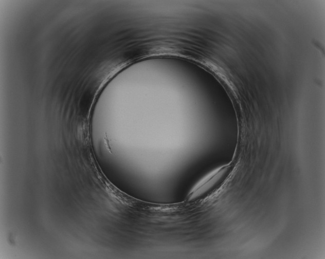 X0000097881145200803281218