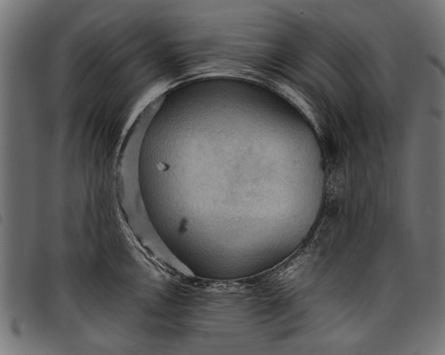 X0000097881146200803281218