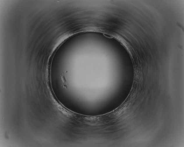 X0000097881147200803281218