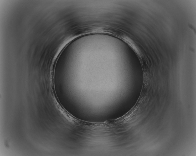 X0000097881148200803281218