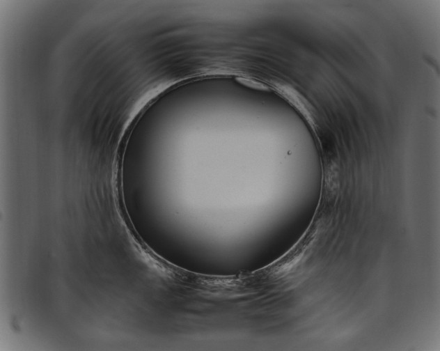 X0000097881149200803281218