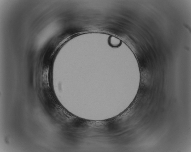 X0000097881150200803281218