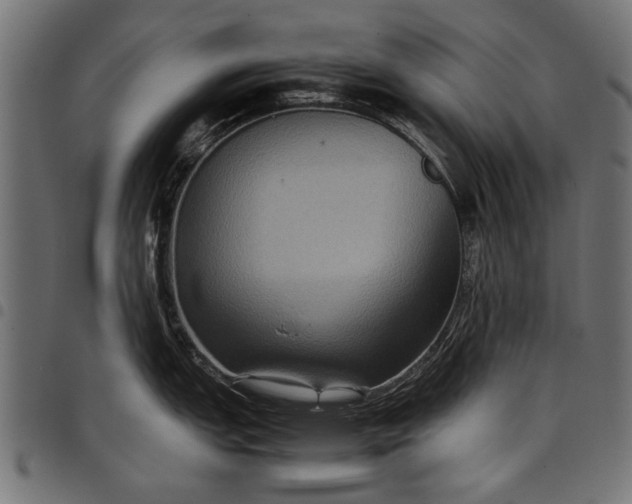 X0000097881151200803281218