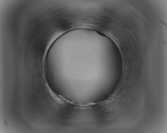 X0000097881152200803281218