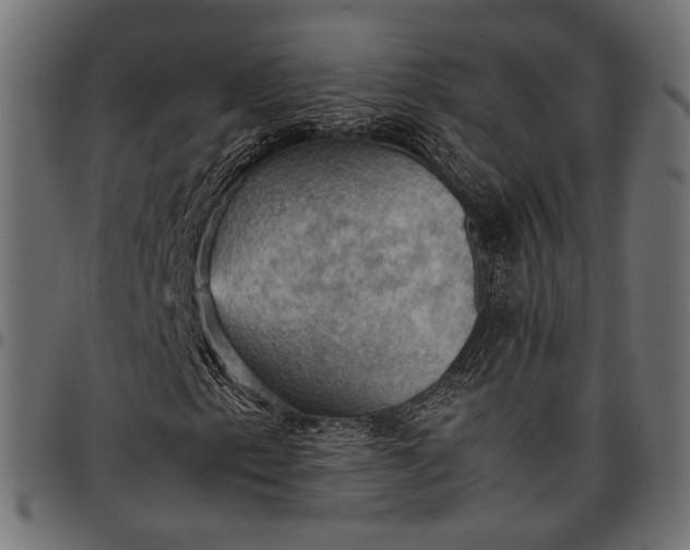 X0000097881153200803281217