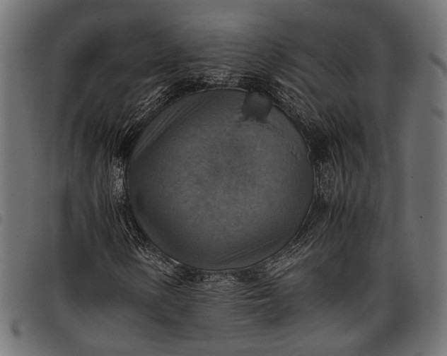 X0000097881154200803281217