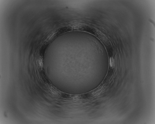 X0000097881155200803281217