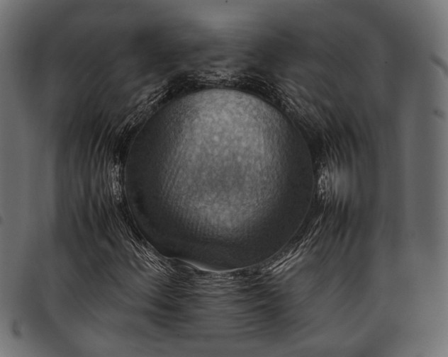 X0000097881156200803281217