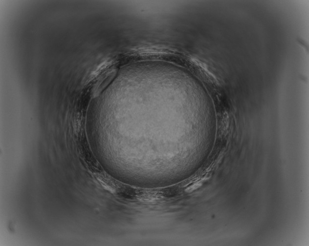 X0000097881157200803281217