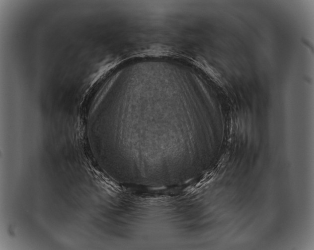 X0000097881160200803281217