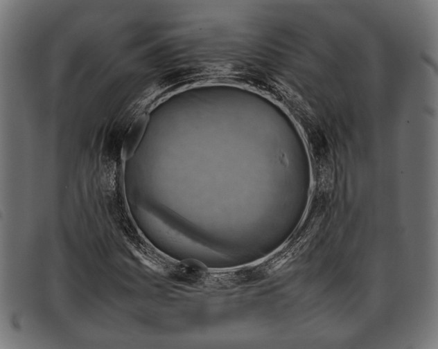 X0000097881161200803281217