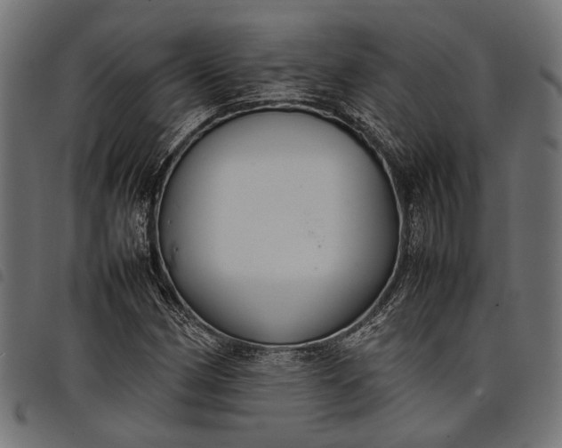 X0000097881162200803281217