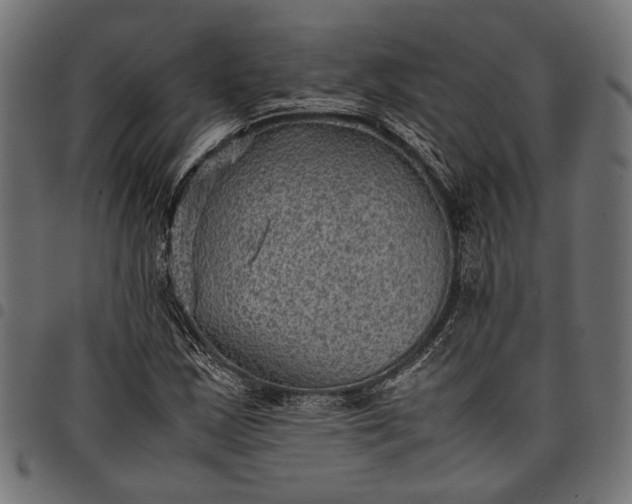 X0000097881163200803281217