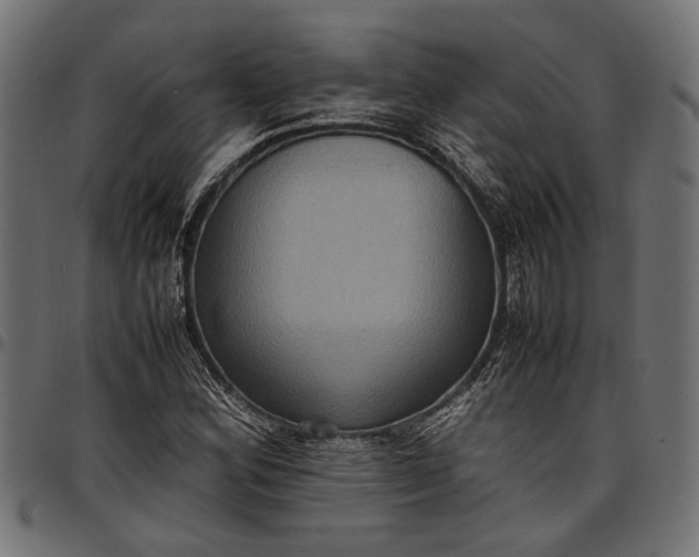 X0000097881164200803281217