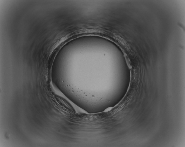 X0000097881165200803281217