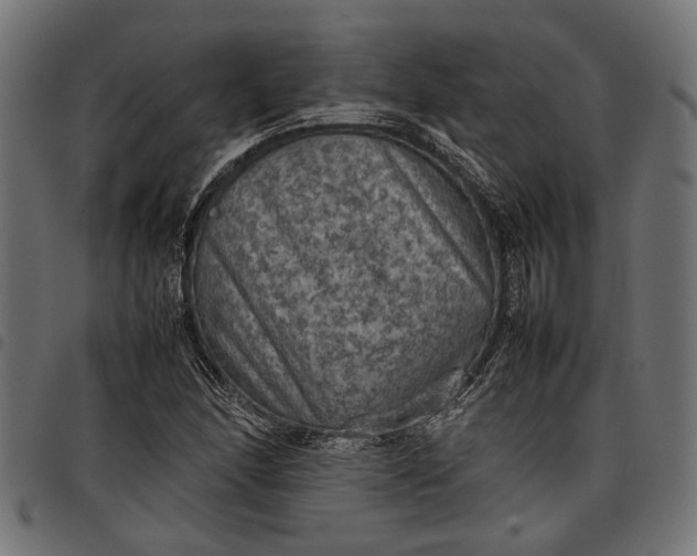 X0000097881166200803281217