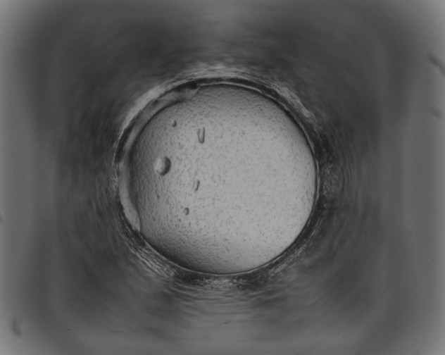 X0000097881167200803281217