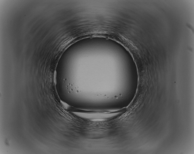 X0000097881169200803281217