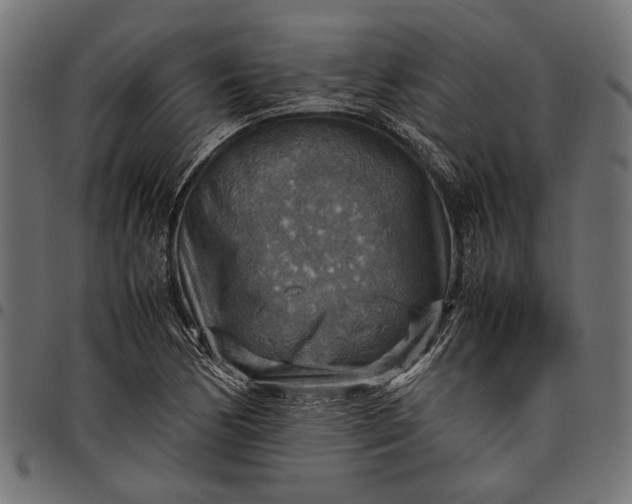 X0000097881170200803281217