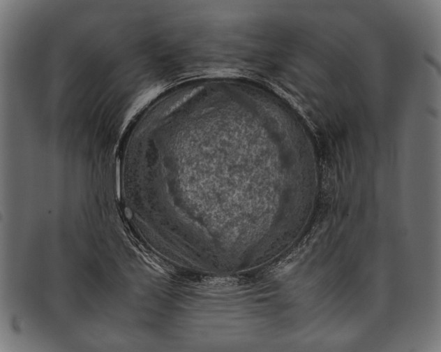 X0000097881171200803281217