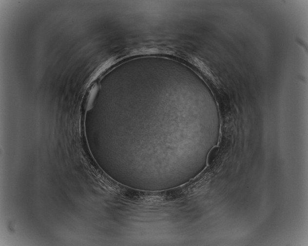 X0000097881173200803281217