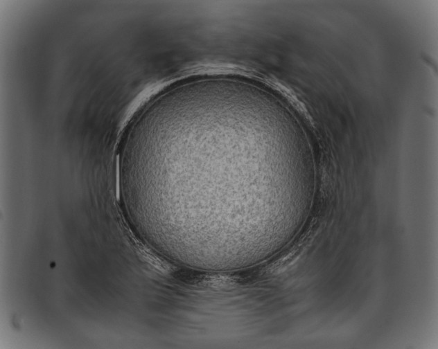 X0000097881175200803281217