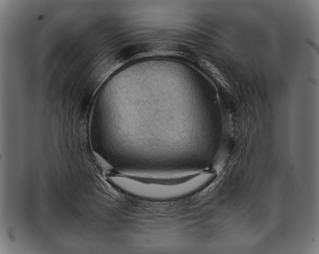 X0000097881177200803281217