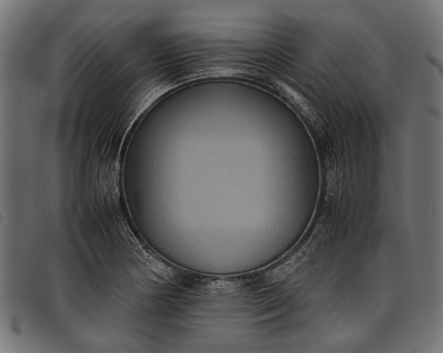 X0000097881178200803281217