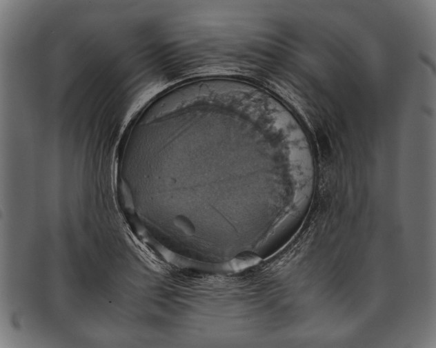 X0000097881179200803281217