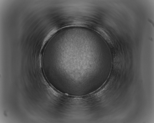 X0000097881180200803281217