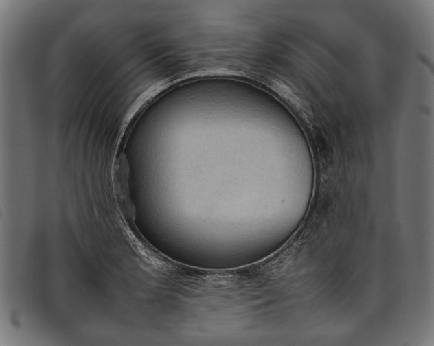 X0000097881181200803281217