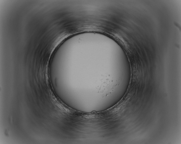 X0000097881182200803281217