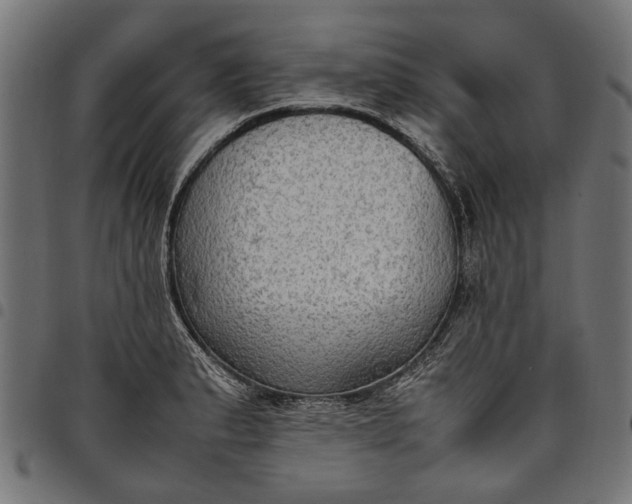 X0000097881183200803281217