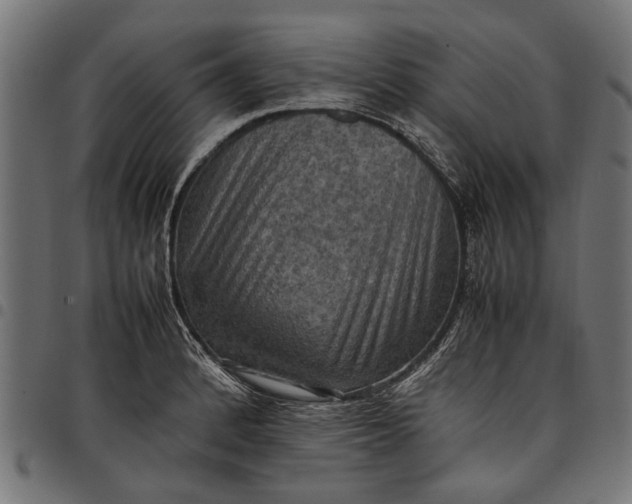 X0000097881184200803281217