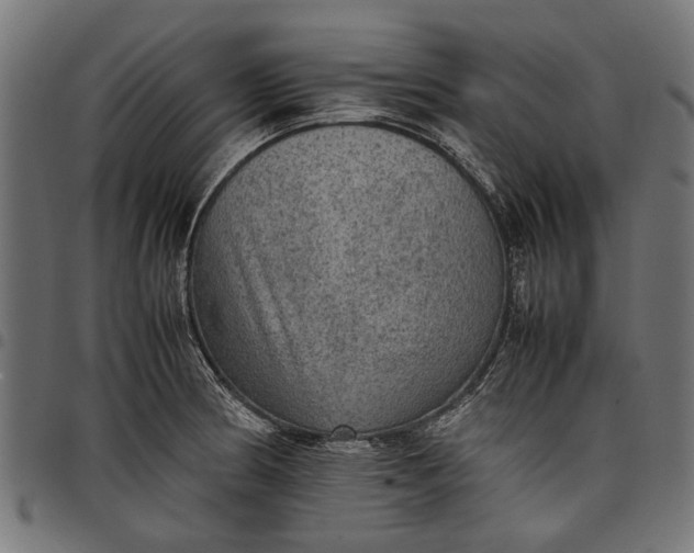 X0000097881186200803281217