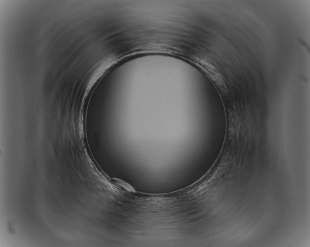 X0000097881188200803281217