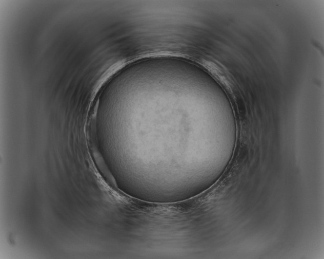 X0000097881189200803281217