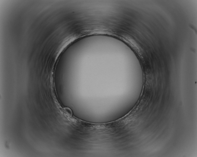 X0000097881190200803281217