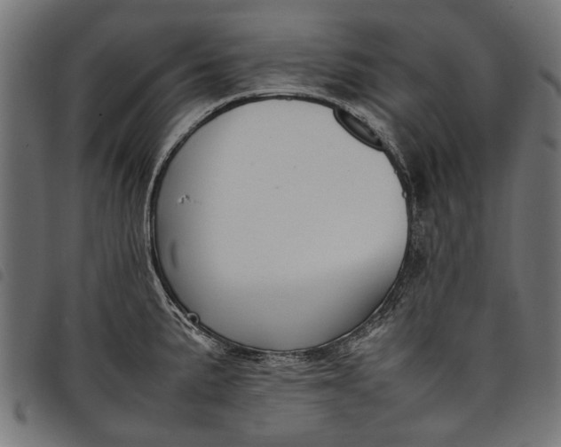 X0000097881191200803281217