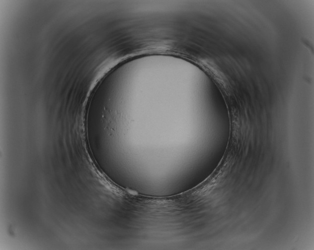 X0000097881192200803281217