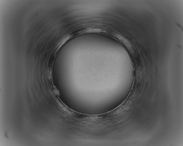 X0000097881193200803281217