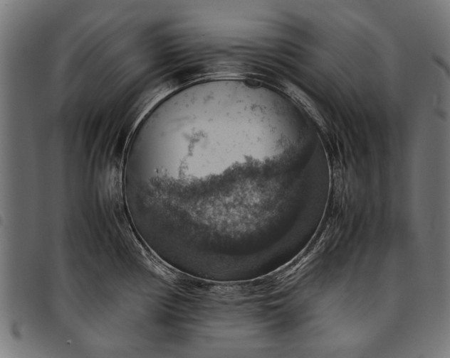 X0000097881194200803281217